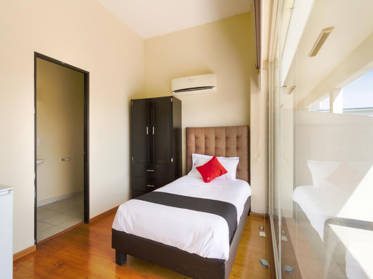 Hotel Ecohabit, Monterrey à Apodaca Extérieur photo